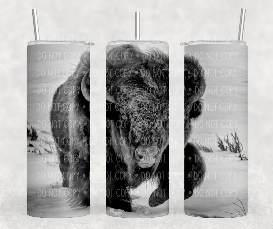 Bison Tumbler